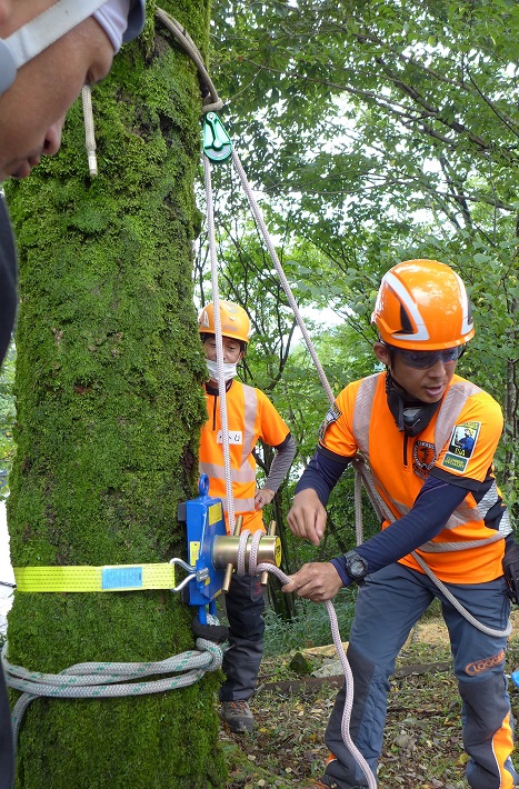 安全な樹上作業のためのBasic Arborist Training Course-2（BAT-2